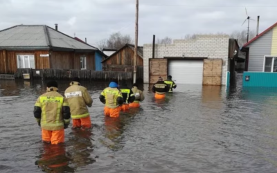Жайық өзеніне Орынбор облысынан тасқын су келіп жатыр