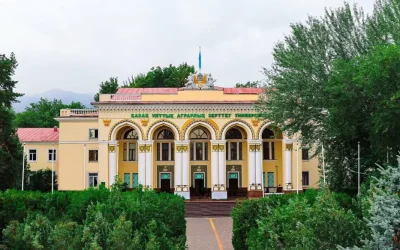 Алматыдағы танымал университеттің лауазымды тұлғалары ұрлық жасағаны үшін сотталды