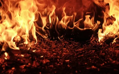 Қонақтар құтқарылды: Алматыда алып мейрамхана өртеніп кетті