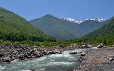 Шыңғырып, көмек сұраған: 41 жастағы келіншек жардан құлап, сайда қалып қойған