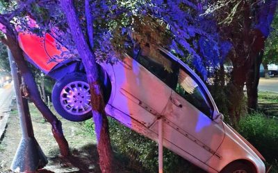 Рулде жас қыз отырған: Алматыда жүйткіген көлік ағаштың басына ілініп қалды