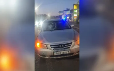 Павлодарда мас адам көшені кесіп өтемін деп көлік астына түсті