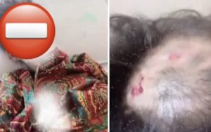 Үшінші рейхтегі секс туралы фильмдер Порно ру