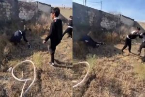 Атыраудағы агроколледжде жаппай төбелес: студенттер бірін-бірі аямады