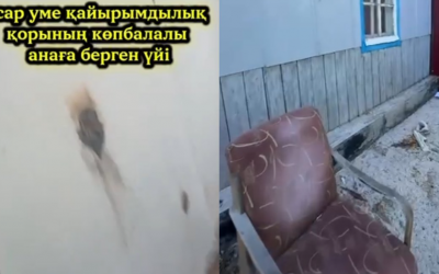 «Қайырымдылық па, әдейі мазақ па?» — «AsarUme» қоры көпбалалы анаға шіріген үй беріп, жұрттың ашуын туғызды