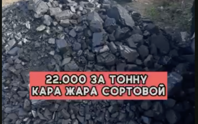 Көмір алтыннан да қымбат: Халық қыстың алдында алаңдап отыр