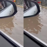 Қала емес, көлге айналды: Орал халқы тағы да суға батқан көшелерге наразы