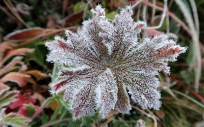 Қар, жаңбыр, аяз: 10 қазанда ауа райы қандай болады